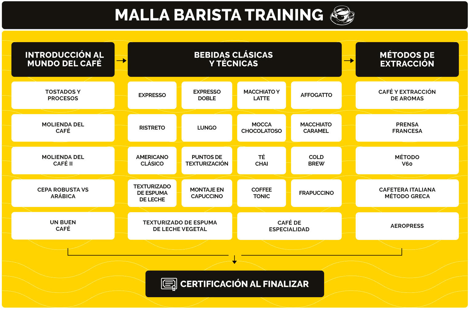 Malla curricular del curso Barista Training: introducción al mundo del café, bebidas clásicas y técnicas, métodos de extracción, y certificación al finalizar